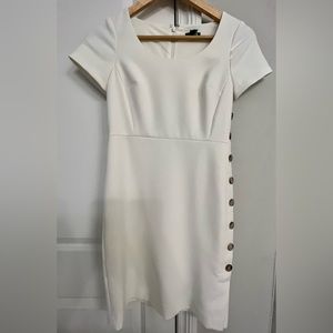 Ann Taylor work dress